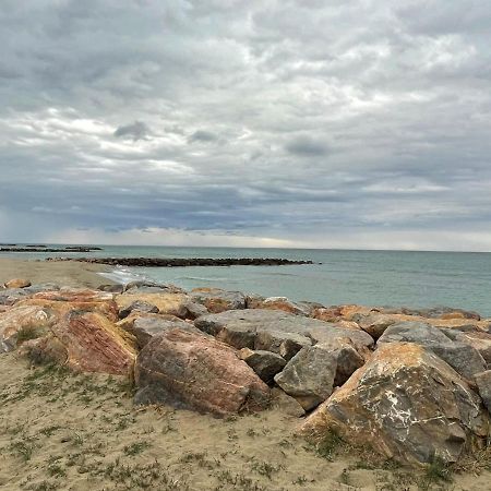 Port Barcares Vue Port Et Mer Le Barcarès Zewnętrze zdjęcie