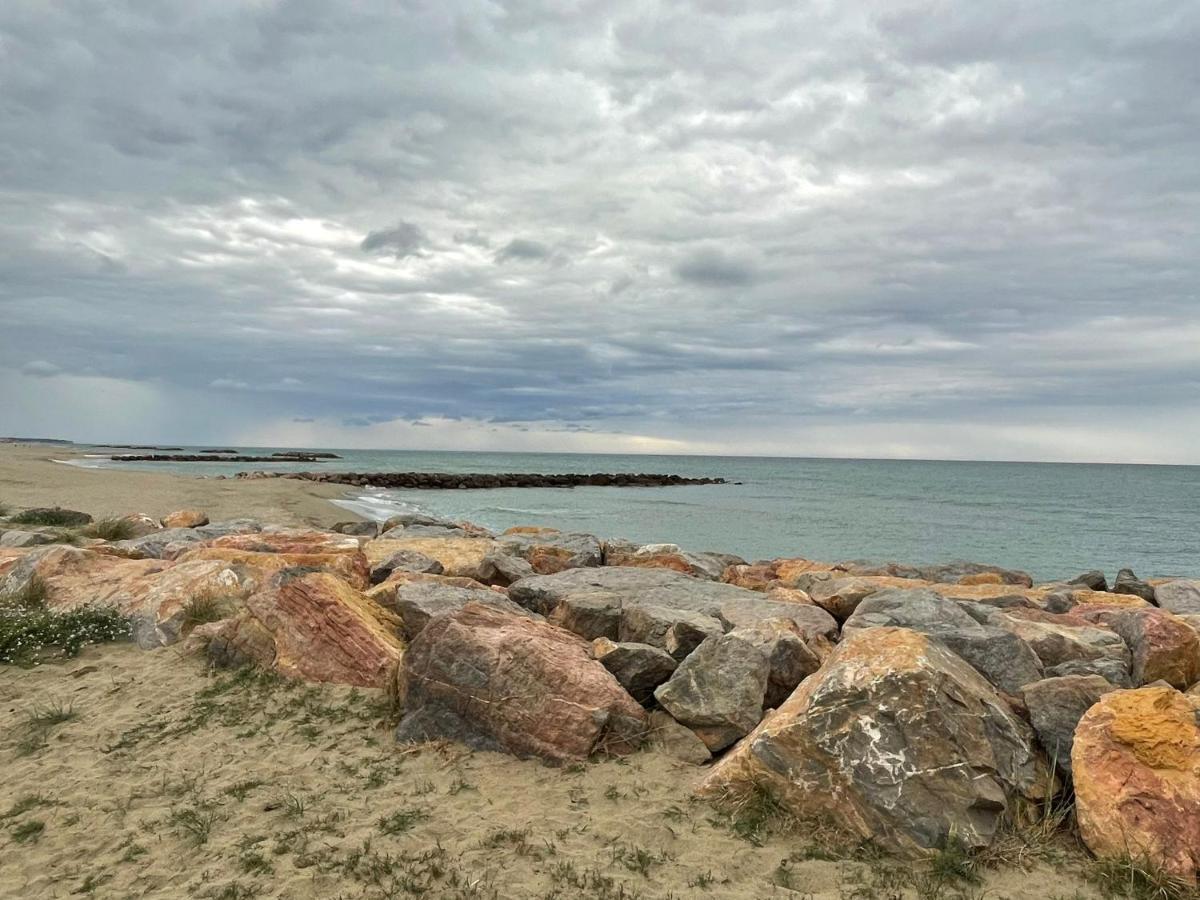 Port Barcares Vue Port Et Mer Le Barcarès Zewnętrze zdjęcie